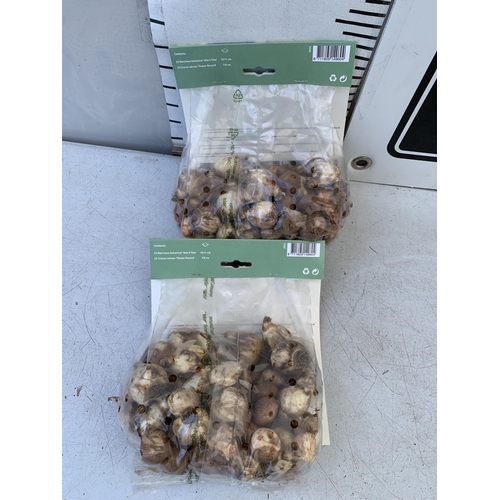 84 - ONE HUNDRED BULBS IN TWO PACKS OF MIXED NARCISSUS AND CROCUS. PLUS VAT TO BE SOLD FOR THE ONE HUNDRE... 