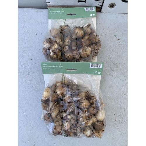 85 - ONE HUNDRED BULBS IN TWO PACKS OF MIXED NARCISSUS AND CROCUS. PLUS VAT TO BE SOLD FOR THE ONE HUNDRE... 