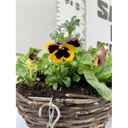 86 - TWO RATTAN HANGING BASKETS FILLED WITH WINTER BEDDING FLOWERS INCLUDING PANSIES ETC. 30CM IN DIAMETE... 