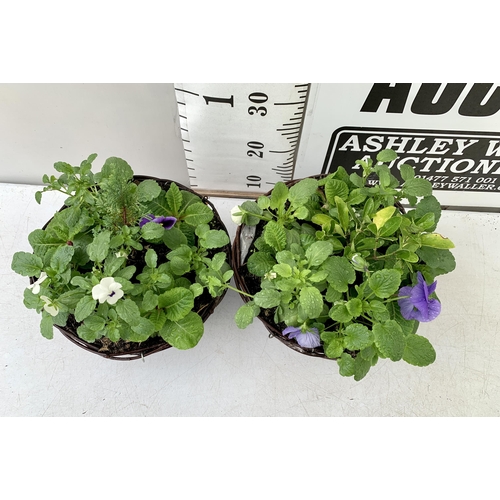 88 - TWO RATTAN HANGING BASKETS FILLED WITH WINTER BEDDING FLOWERS INCLUDING PANSIES ETC. 30CM IN DIAMETE... 