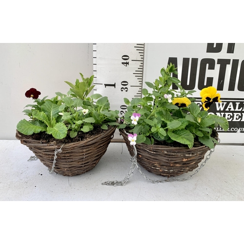 9 - TWO RATTAN HANGING BASKETS FILLED WITH WINTER BEDDING FLOWERS INCLUDING PANSIES ETC. 30CM IN DIAMETE... 