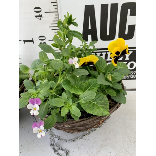 9 - TWO RATTAN HANGING BASKETS FILLED WITH WINTER BEDDING FLOWERS INCLUDING PANSIES ETC. 30CM IN DIAMETE... 