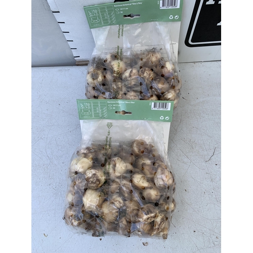 91 - ONE HUNDRED 'TETE A TETE' NARCISSUS BULBS IN TWO PACKS. PLUS VAT TO BE SOLD FOR THE ONE HUNDRED