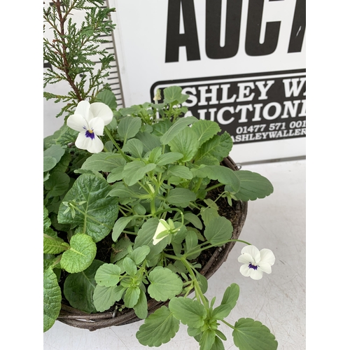 96 - TWO RATTAN HANGING BASKETS FILLED WITH WINTER BEDDING FLOWERS INCLUDING PANSIES ETC. 30CM IN DIAMETE... 