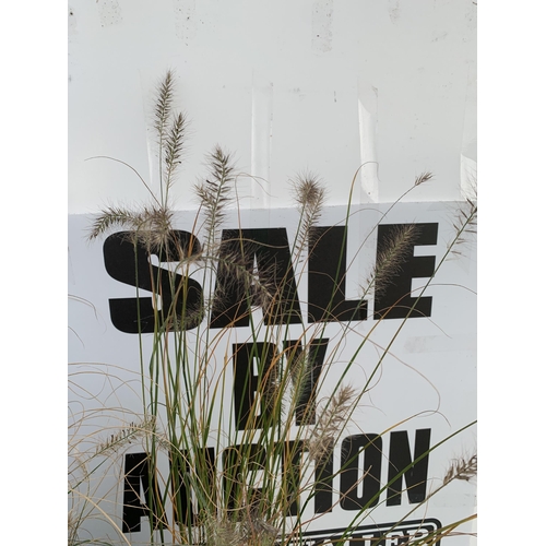 104 - FIVE ORNAMENTAL PENNISETUM GRASSES IN 3 LTR POTS. APPROX 80-90CM IN HEIGHT PLUS VAT TO BE SOLD FOR T... 