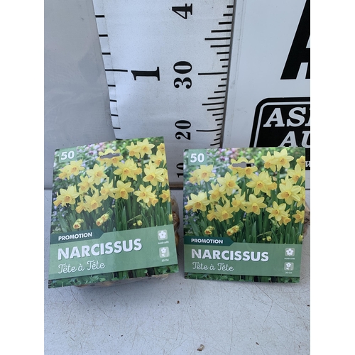 91 - ONE HUNDRED 'TETE A TETE' NARCISSUS BULBS IN TWO PACKS. TO BE SOLD FOR THE ONE HUNDRED