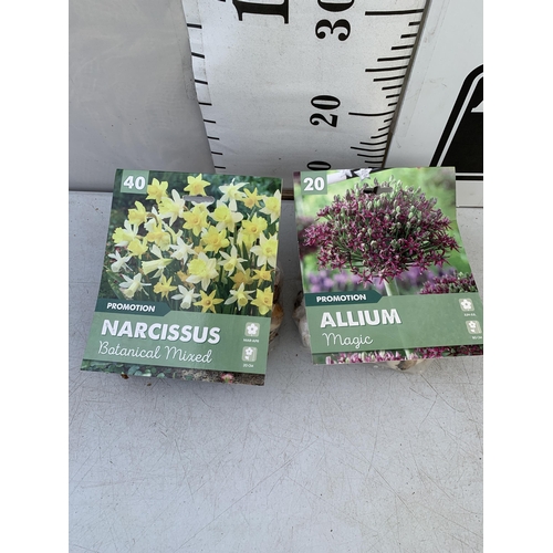 120 - SIXTY BULBS IN TWO PACKS - TWENTY ALLIUMS AND FORTY MIXED NARCISSUS. TO BE SOLD FOR THE SIXTY