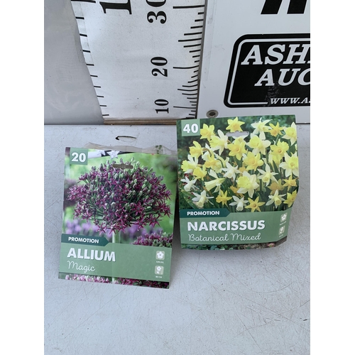 123 - SIXTY BULBS IN TWO PACKS - TWENTY ALLIUMS AND FORTY MIXED NARCISSUS. TO BE SOLD FOR THE SIXTY