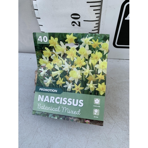 136 - FORTY NARCISSUS BOTANICAL MIXED BULBS IN A PACK. TO BE SOLD FOR THE FORTY