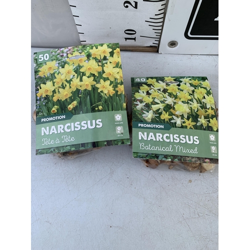 139 - NINETY NARCISSUS BULBS IN TWO PACKS - ONE (FORTY) BOTANICAL MIXED AND ONE (FIFTY) TETE A TETE. TO BE... 