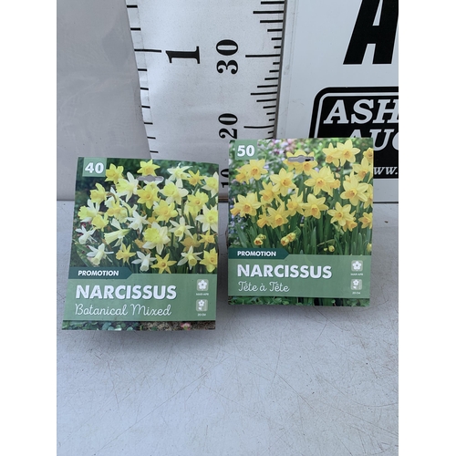 141 - NINETY NARCISSUS BULBS IN TWO PACKS - ONE (FORTY) BOTANICAL MIXED AND ONE (FIFTY) TETE A TETE. TO BE... 