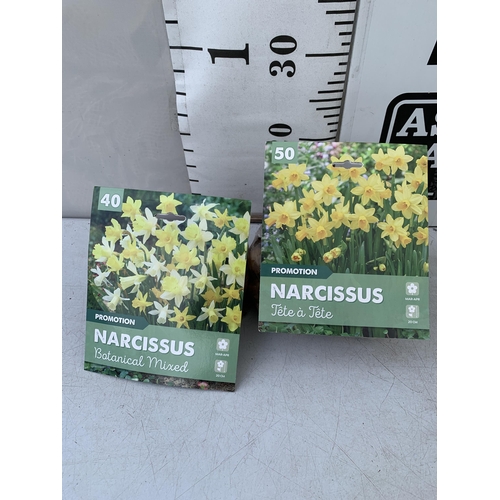 142 - NINETY NARCISSUS BULBS IN TWO PACKS - ONE (FORTY) BOTANICAL MIXED AND ONE (FIFTY) TETE A TETE. TO BE... 