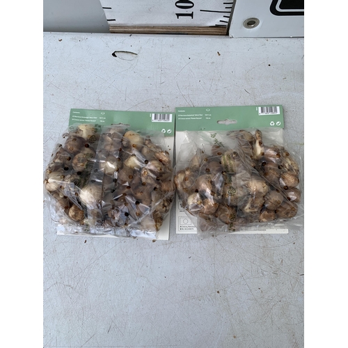 196 - ONE HUNDRED BULBS IN TWO PACKS OF MIXED NARCISSUS AND CROCUS. TO BE SOLD FOR THE ONE HUNDRED