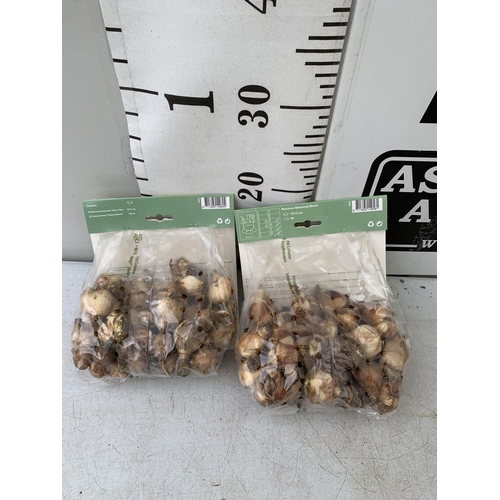 208 - NINETY BULBS IN TWO PACKS - FIFTY CROCUS AND NARCISSUS  MIX AND FORTY BOTANICAL MIXED NARCISSUS. TO ... 