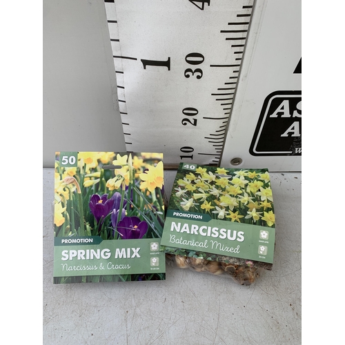 209 - NINETY BULBS IN TWO PACKS - FIFTY CROCUS AND NARCISSUS  MIX AND FORTY BOTANICAL MIXED NARCISSUS. TO ... 