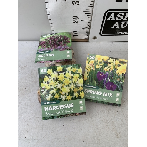 219 - ONE HUNDRED AND TEN SPRING BULBS IN THREE PACKS. FORTY NARCISSUS, TWENTY ALLIUM AND FIFTY MIXED NARC... 