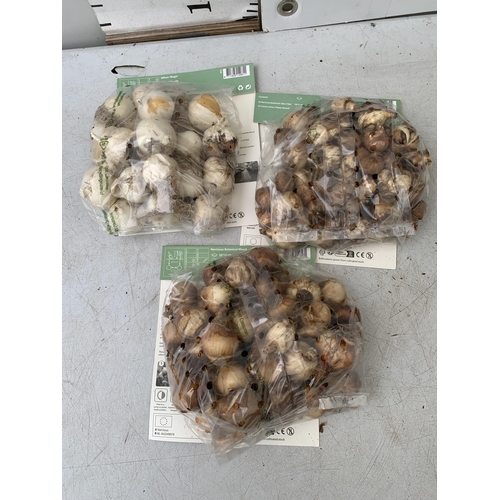 219 - ONE HUNDRED AND TEN SPRING BULBS IN THREE PACKS. FORTY NARCISSUS, TWENTY ALLIUM AND FIFTY MIXED NARC... 