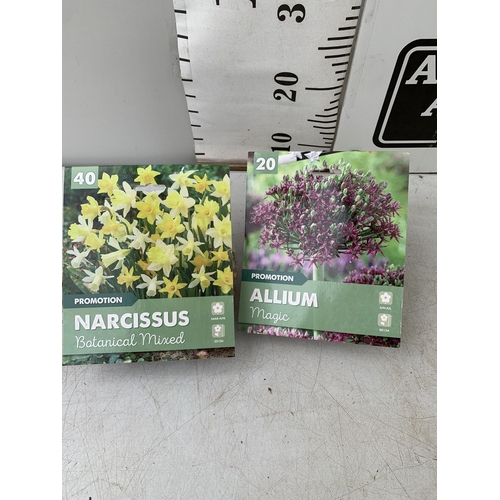 220 - SIXTY SPRING BULBS IN TWO PACKS - TWENTY ALLIUM MAGIC AND FORTY BOTANICAL MIXED. TO BE SOLD FOR THE ... 