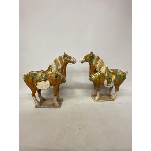 42 - A PAIR OF TANG DYNASTY DRIP GLAZE WAR HORSES - 39.5 X 38.5 CM