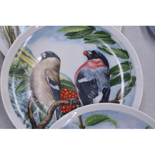 123 - FOUR GOEBEL CABINET PLATES WITH BIRD DESIGNS