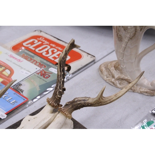 95 - A PAIR OF TAXIDERMY DEER SKULLS ON WOODEN MOUNTS