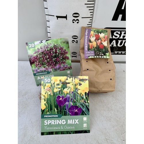 146 - ONE HUNDRED SPRING BULBS IN 3 PACKS. THIRTY DWARF TULIPS, FIFTY MIXED NARCISSUS AND CROCUS AND TWENT... 