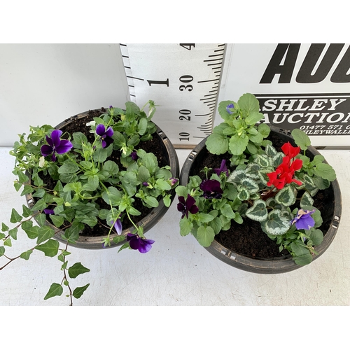 20 - TWO PLANTERS FILLED WITH WINTER BEDDING TO INCLUDE PANSIES, CYCLAMEN, IVY ETC. PLANTERS MEASURE 24CM... 