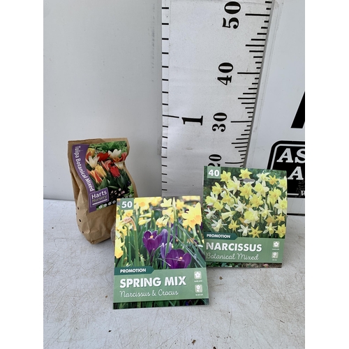 204 - ONE HUNDRED AND TWENTY BULBS IN TWO PACKS -THIRTY DWARF TULIPS, FIFTY CROCUS AND NARCISSUS  MIX AND ... 