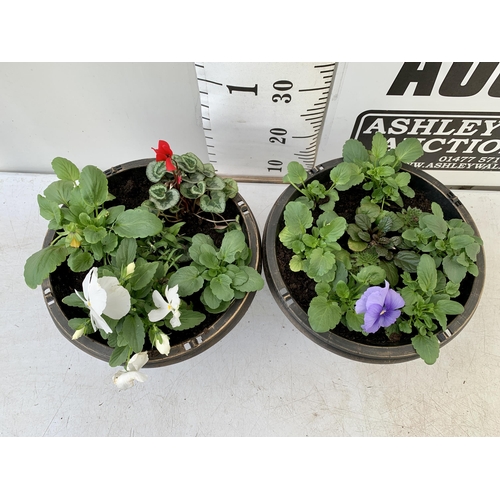 21 - TWO PLANTERS FILLED WITH WINTER BEDDING TO INCLUDE PANSIES, CYCLAMEN, IVY ETC. PLANTERS MEASURE 24CM... 