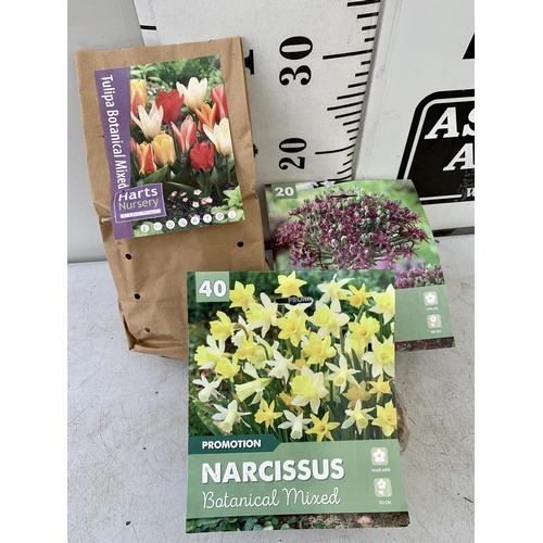 222 - NINETY SPRING BULBS IN THREE PACKS -THIRTY DWARF TULIPS, TWENTY ALLIUM MAGIC AND FORTY BOTANICAL MIX... 