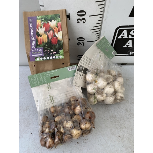 222 - NINETY SPRING BULBS IN THREE PACKS -THIRTY DWARF TULIPS, TWENTY ALLIUM MAGIC AND FORTY BOTANICAL MIX... 