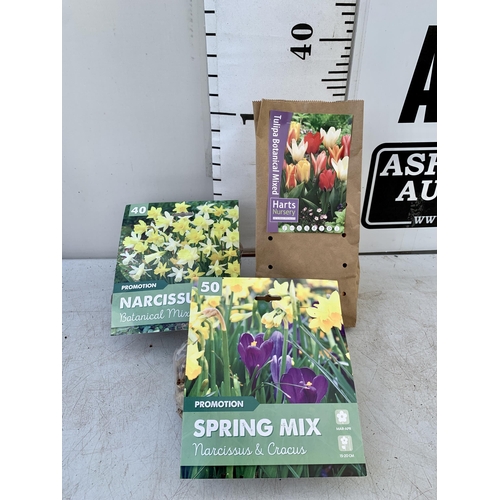 38 - ONE HUNDRED AND TWENTY BULBS IN TWO PACKS -THIRTY DWARF TULIPS, FIFTY CROCUS AND NARCISSUS  MIX AND ... 