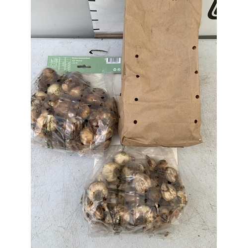 38 - ONE HUNDRED AND TWENTY BULBS IN TWO PACKS -THIRTY DWARF TULIPS, FIFTY CROCUS AND NARCISSUS  MIX AND ... 