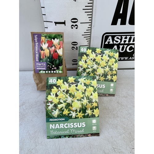 39 - ONE HUNDRED AND TEN BULBS IN THREE PACKS -THIRTY DWARF TULIPS AND EIGHTY BOTANICAL MIXED NARCISSUS. ... 