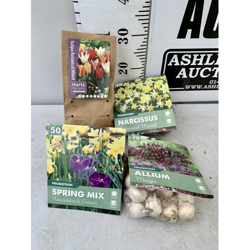 56 - ONE HUNDRED AND FORTY SPRING BULBS IN FOUR PACKS. THIRTY DWARF TULIPS, FORTY NARCISSUS, TWENTY ALLIU... 