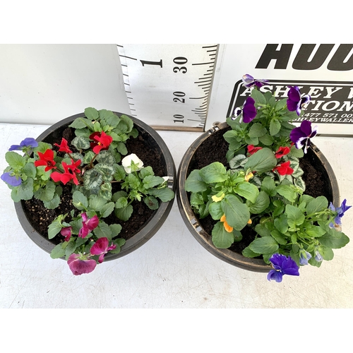 6 - TWO PLANTERS FILLED WITH WINTER BEDDING TO INCLUDE PANSIES, CYCLAMEN ETC. PLANTERS MEASURE 24CM IN D... 