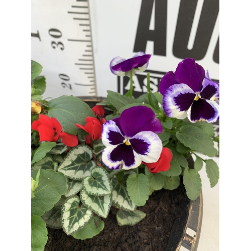 6 - TWO PLANTERS FILLED WITH WINTER BEDDING TO INCLUDE PANSIES, CYCLAMEN ETC. PLANTERS MEASURE 24CM IN D... 