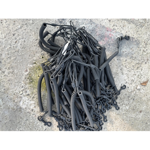 3854 - A ALRGE QUANTITY OF EXTENDING RUBBER LINES WITH A CLIP ON THE END