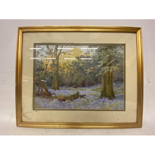 22A - A PAIR OF FRAMED AND GLAZED WATERCOLOURS OF COUNTRY SCENES SIGNED T.E. SADDINGTON TAYLOR (BRITISH 20... 