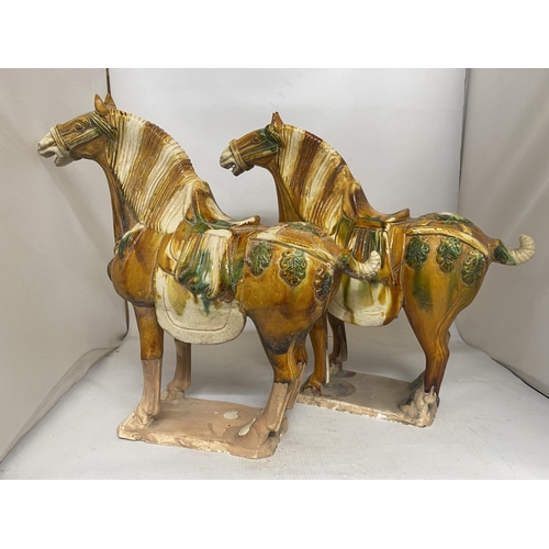 302 - A LARGE PAIR OF DRIPGLAZE TANG DYNASTY WAR HORSES - 36 CM (H) 39 cm (W)