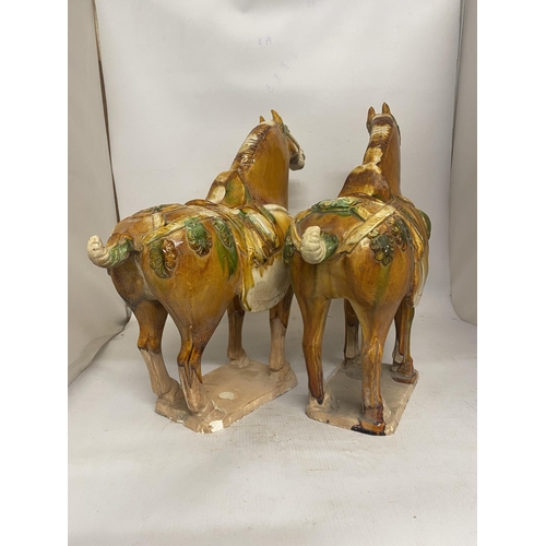 302 - A LARGE PAIR OF DRIPGLAZE TANG DYNASTY WAR HORSES - 36 CM (H) 39 cm (W)