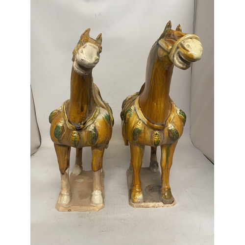 302 - A LARGE PAIR OF DRIPGLAZE TANG DYNASTY WAR HORSES - 36 CM (H) 39 cm (W)