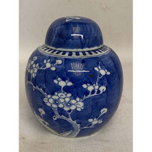 306 - A CHINESE BLUE AND WHITE PRUNUS BLOSSOM GINGER JAR - 16 CM