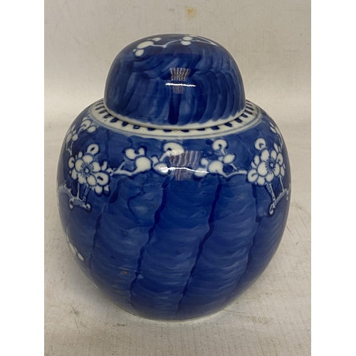 306 - A CHINESE BLUE AND WHITE PRUNUS BLOSSOM GINGER JAR - 16 CM