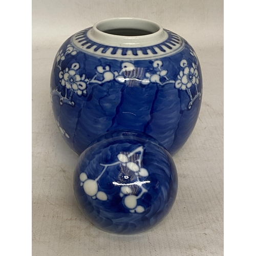 306 - A CHINESE BLUE AND WHITE PRUNUS BLOSSOM GINGER JAR - 16 CM