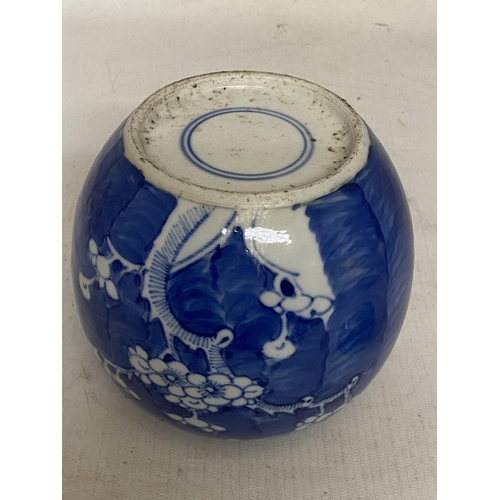 306 - A CHINESE BLUE AND WHITE PRUNUS BLOSSOM GINGER JAR - 16 CM