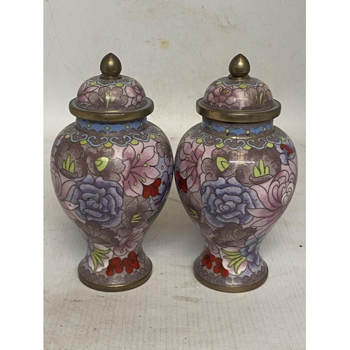 307 - A PAIR OF CHINESE CLOISONNE LIDDED VASES - APPROX 16.5 CM