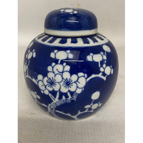 312 - A CHINESE BLUE AND WHITE PRUNUS BLOSSOM GINGER JAR - 13 CM (H)