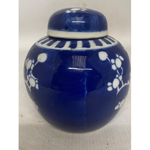 312 - A CHINESE BLUE AND WHITE PRUNUS BLOSSOM GINGER JAR - 13 CM (H)