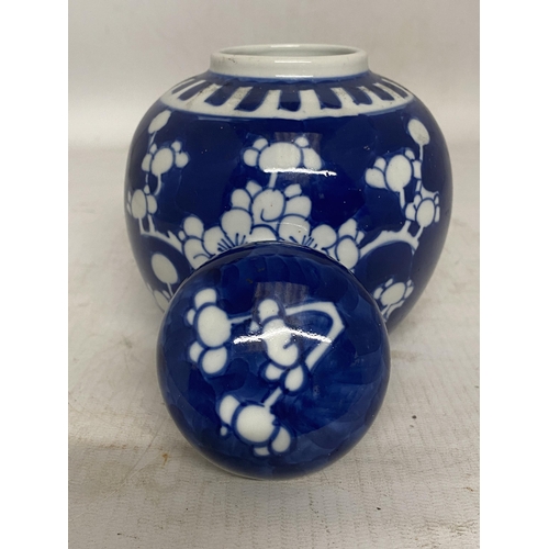 312 - A CHINESE BLUE AND WHITE PRUNUS BLOSSOM GINGER JAR - 13 CM (H)